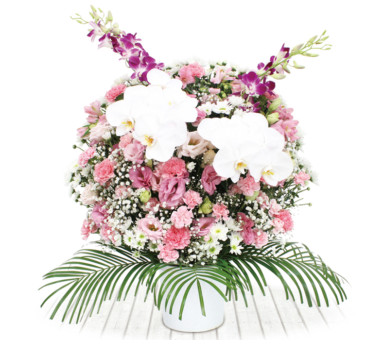 洋花供花