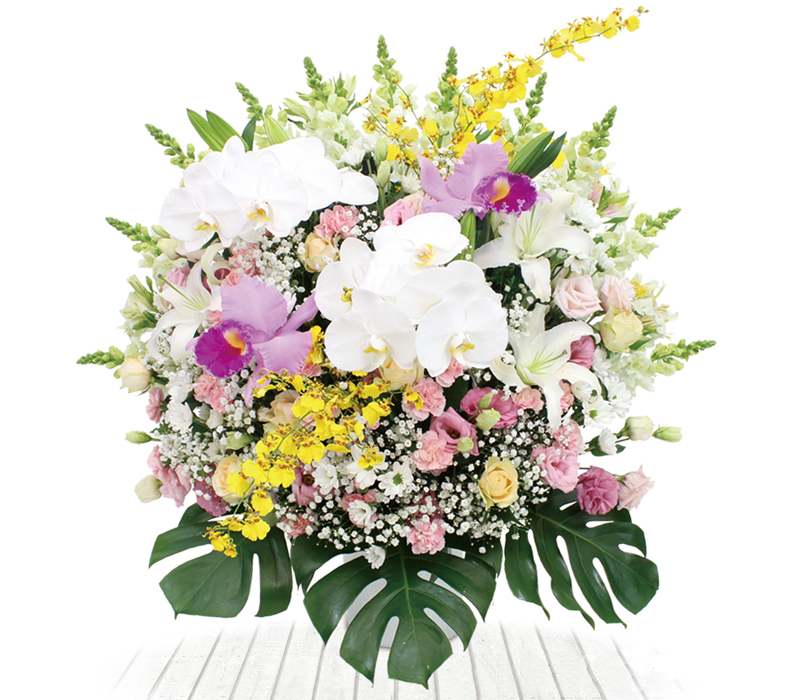 洋花供花