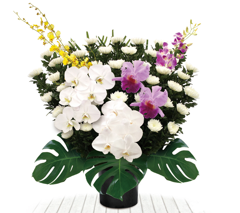 菊供花